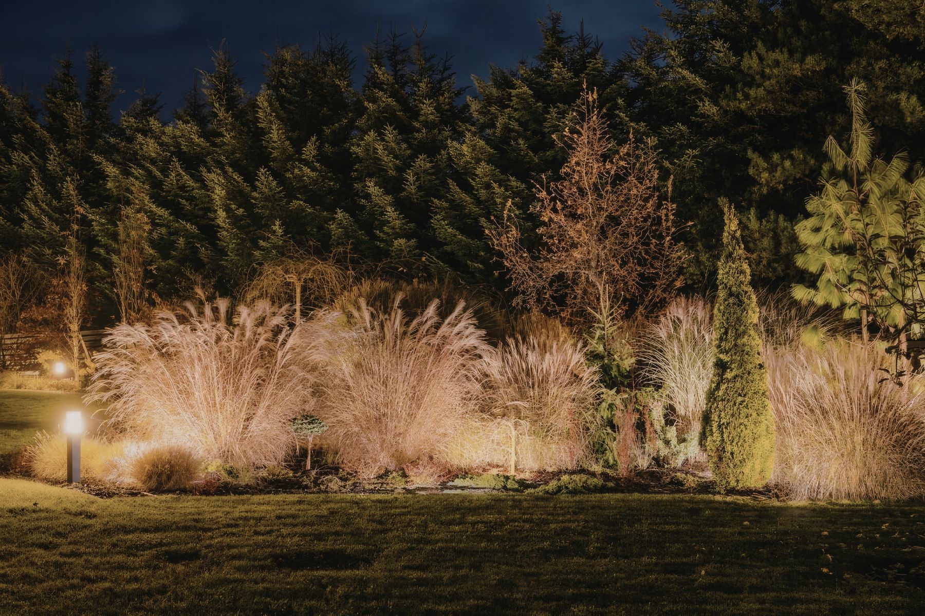 Before and after landscape lighting transformation showing dramatic curb appeal improvement