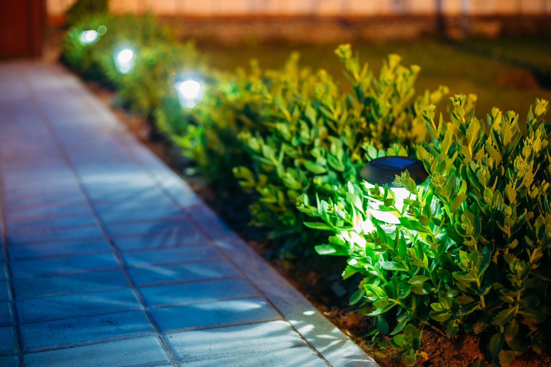 Cordova TN home with elegant landscape and pathway lighting